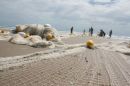 Casamance 49